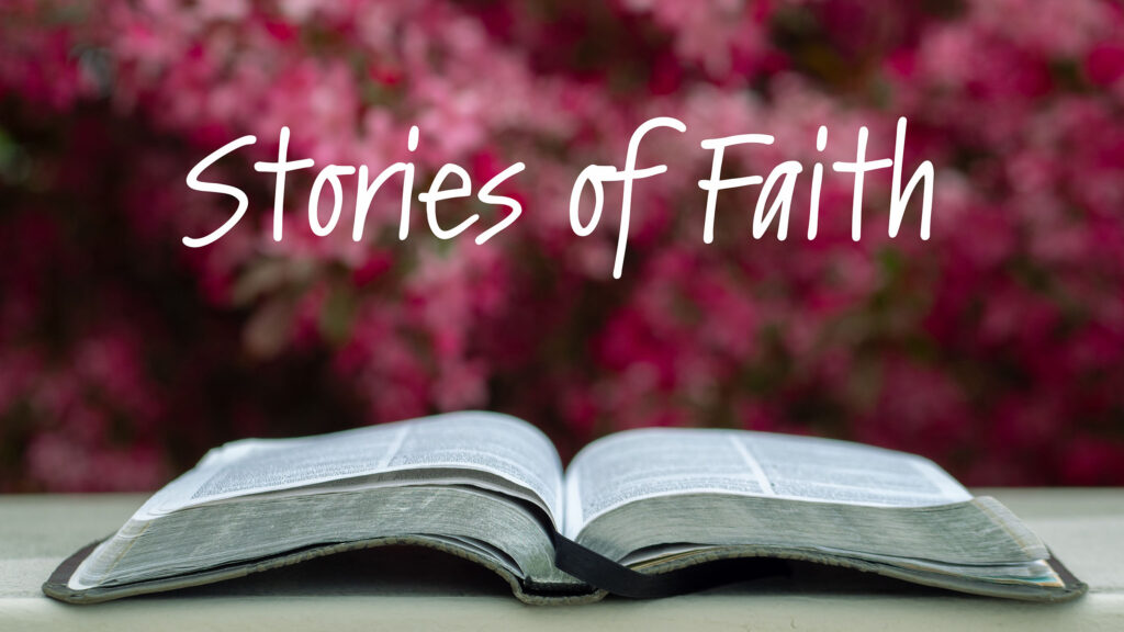 Titus Women Bible Study – Stories of Faith