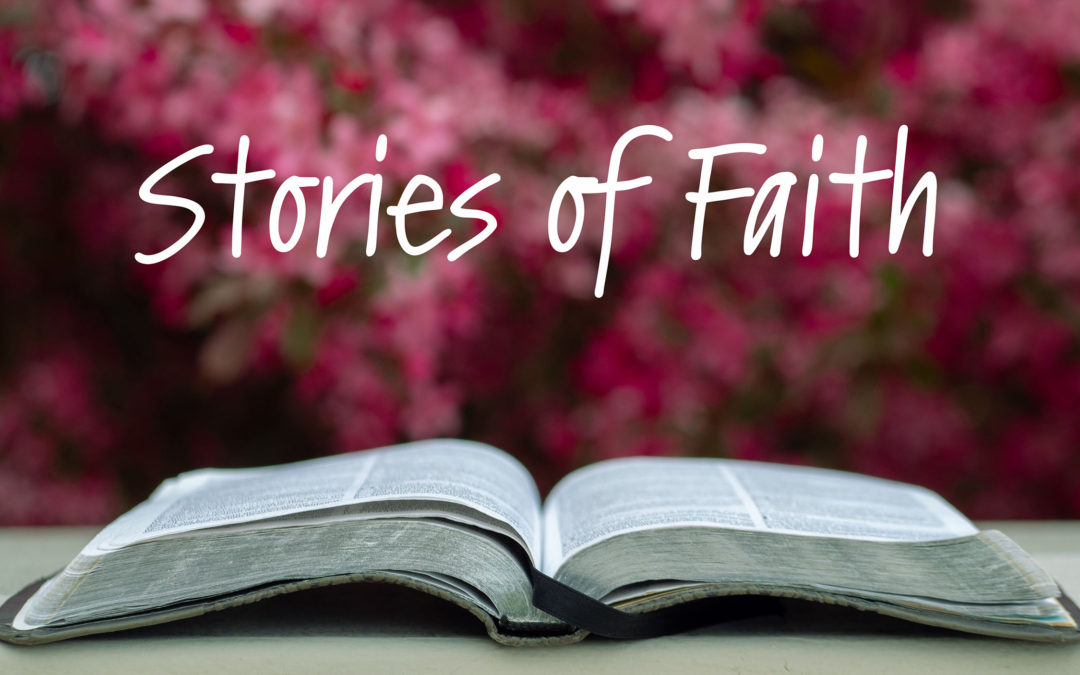Titus Women Bible Study – Stories of Faith