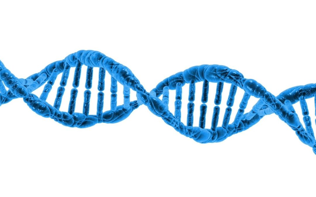 Same Faith, Different Gifts: The Importance of DNA in Ministry