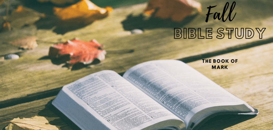 Mark Bible Study
