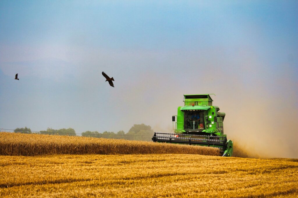 Of Rain, Snow, Seed and Harvest