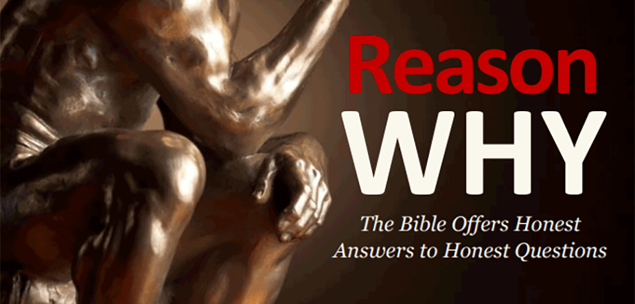 Spring 2015: Reason Why